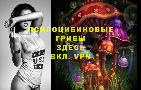 ГАЛЛЮЦИНОГЕННЫЕ ГРИБЫ Абинск