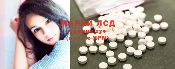 ГАЛЛЮЦИНОГЕННЫЕ ГРИБЫ Алзамай