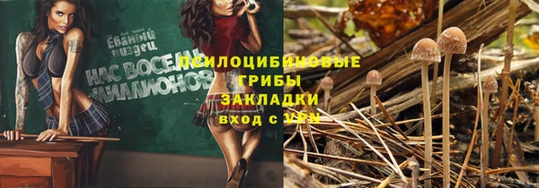 ГАЛЛЮЦИНОГЕННЫЕ ГРИБЫ Абинск