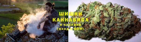 ГАЛЛЮЦИНОГЕННЫЕ ГРИБЫ Абинск